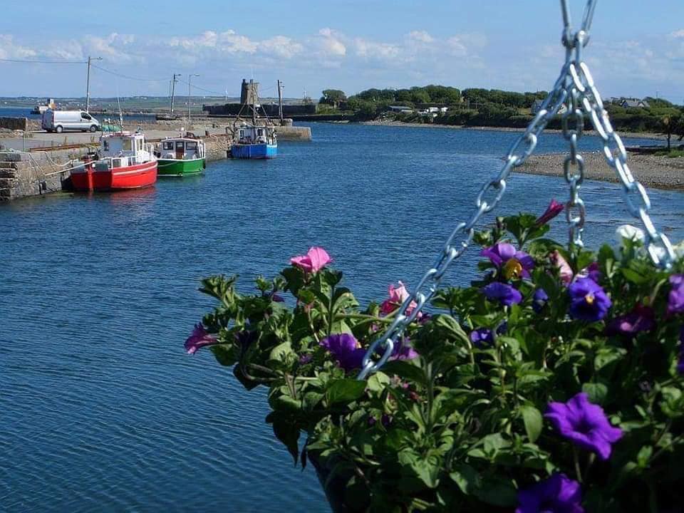 Carrigaholt bridge